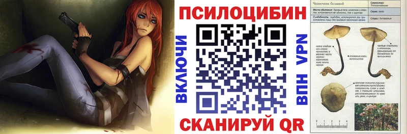 Купить где  Сосенский  Псилоцибиновые грибы ЛСД 